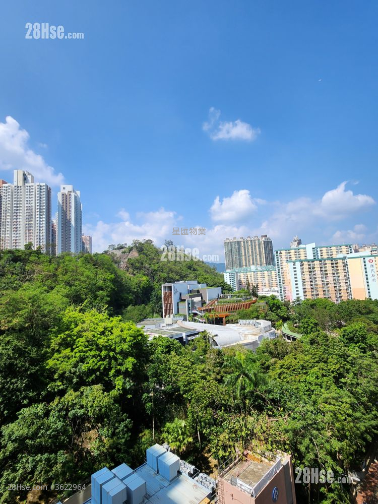 高山18 租盘 开放式间隔 , 1 浴室 225 平方尺 ( 20.9 平方米 ) 高山18 租盘 开放式间隔 , 1 浴室 225 平方尺 ( 20.9 平方米 )