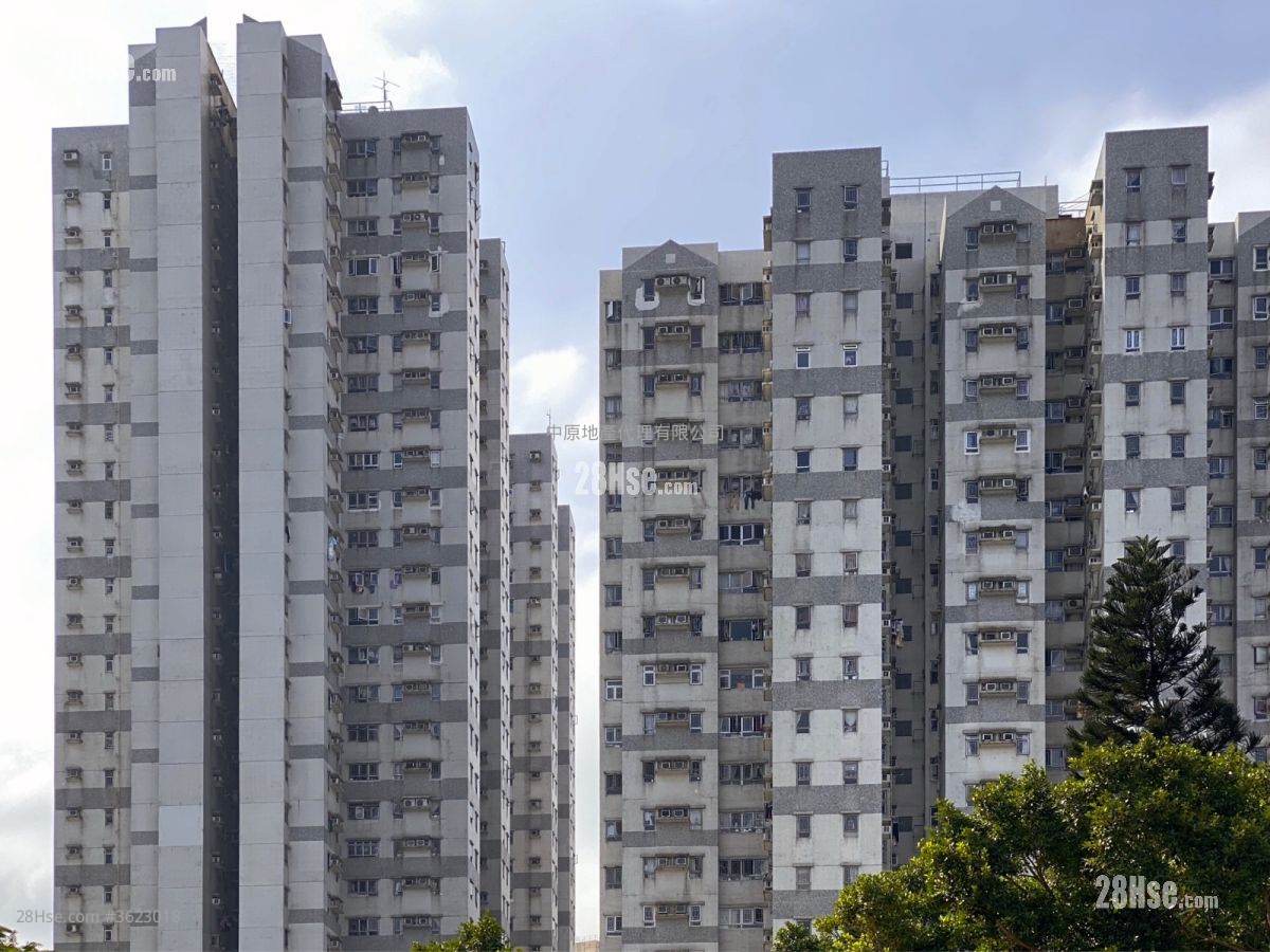 海悦花园 售盘 2 房 , 1 浴室 431 平方尺 ( 40.0 平方米 ) 海悦花园 售盘 2 房 , 1 浴室 431 平方尺 ( 40.0 平方米 )