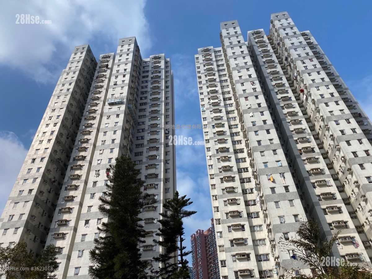 海悦花园 售盘 2 房 , 1 浴室 431 平方尺 ( 40.0 平方米 ) 海悦花园 售盘 2 房 , 1 浴室 431 平方尺 ( 40.0 平方米 )