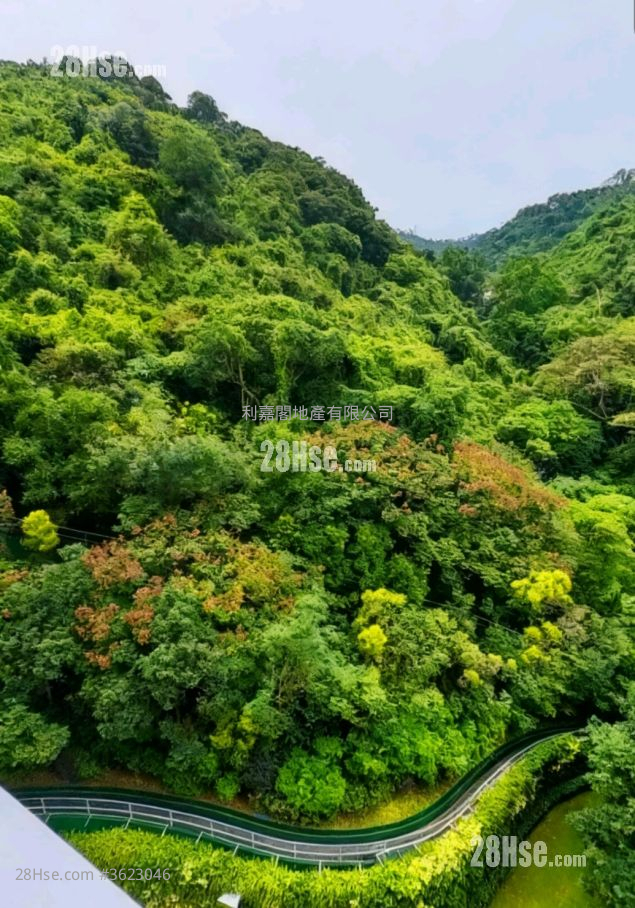 壹号云顶 售盘 5+ 房 , 3 浴室 1,939 平方尺 ( 180.1 平方米 ) 壹号云顶 售盘 5+ 房 , 3 浴室 1,939 平方尺 ( 180.1 平方米 )