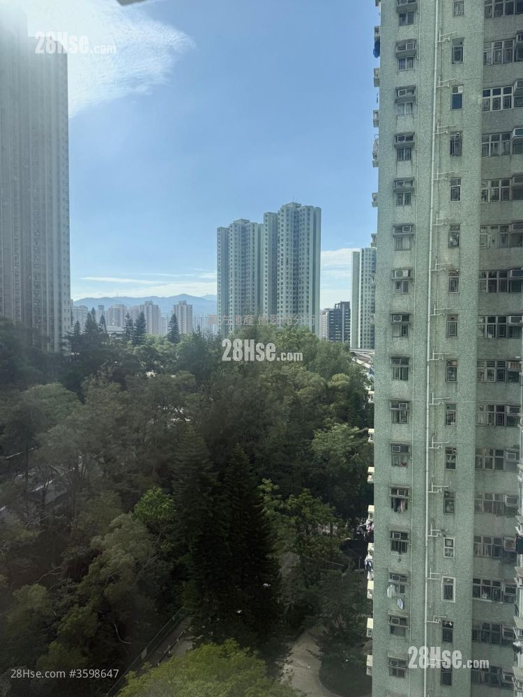 富宝花园 售盘 3 房 , 1 浴室 583 平方尺 ( 54.2 平方米 )