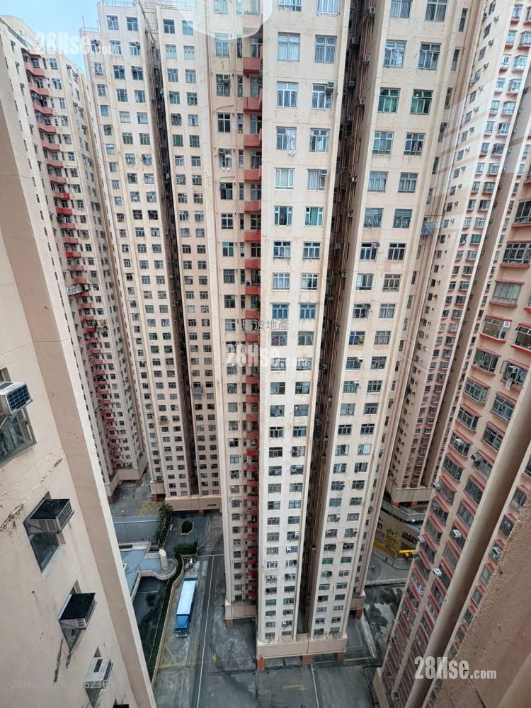 淘大花园 租盘 2 房 , 1 浴室 375 平方尺 ( 34.8 平方米 ) 淘大花园 租盘 2 房 , 1 浴室 375 平方尺 ( 34.8 平方米 )