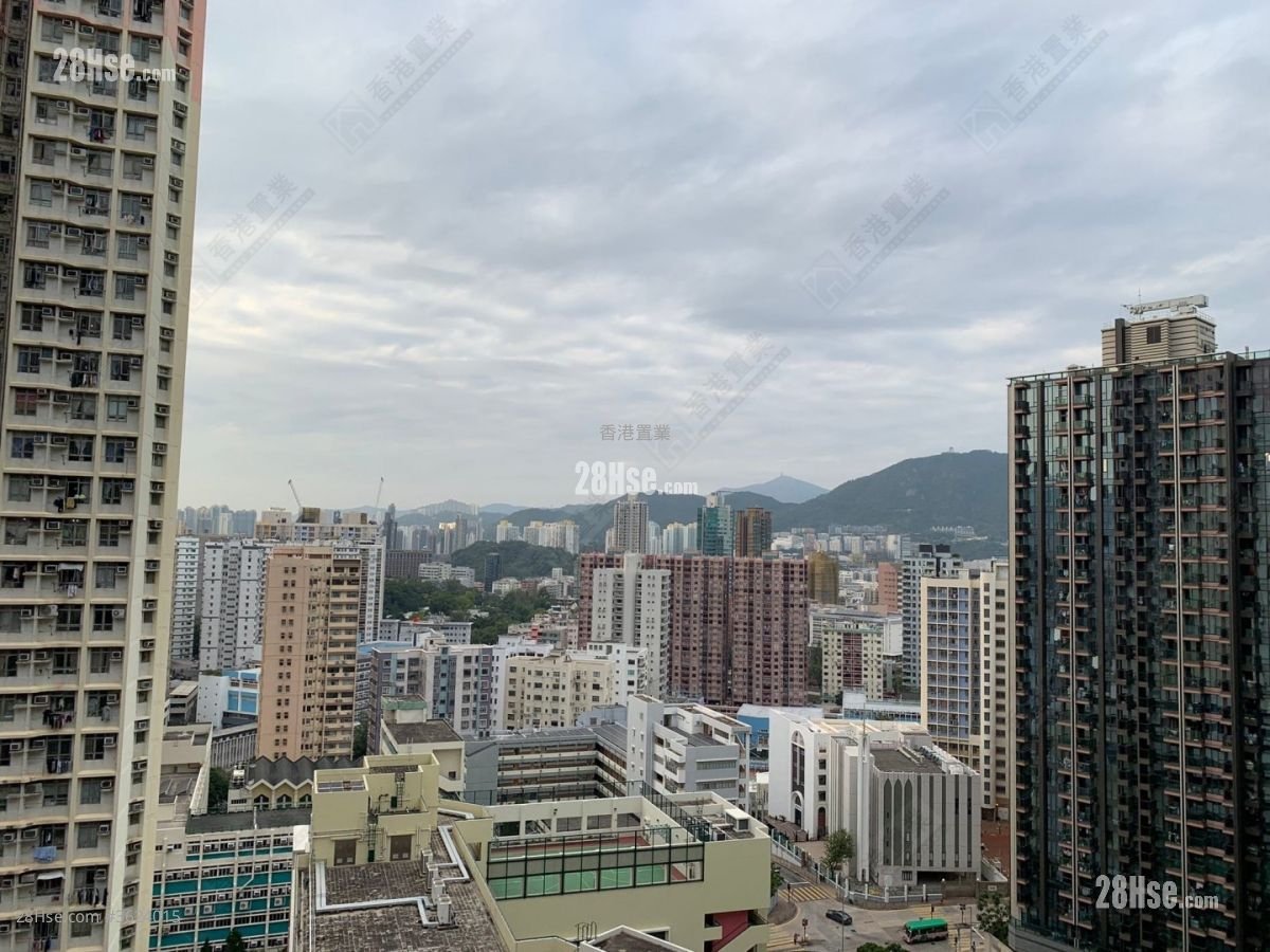 皓畋 租盘 554 平方尺 ( 51.5 平方米 ) 皓畋 租盘 554 平方尺 ( 51.5 平方米 )