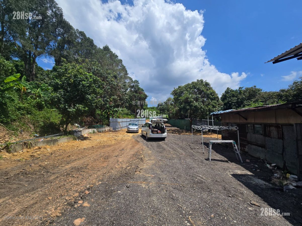 土地 租盘 7,800 平方尺 ( 724.6 平方米 ) 土地 租盘 7,800 平方尺 ( 724.6 平方米 )