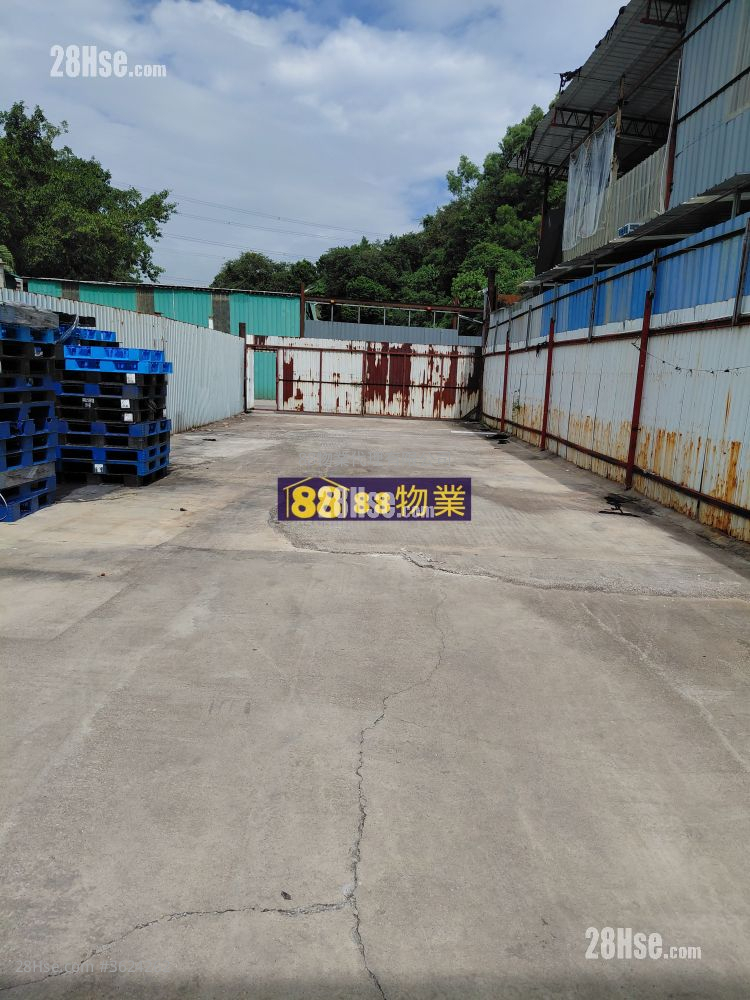 粉岭路边 租盘 粉岭路边 租盘