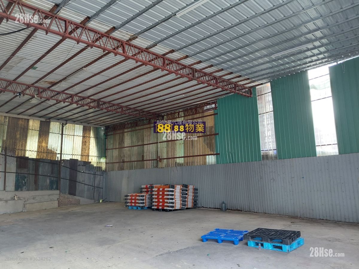 粉岭路边 租盘 粉岭路边 租盘