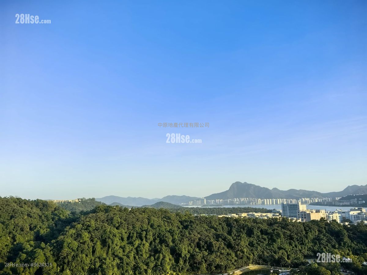 岚山 售盘 3 房 834 平方尺 ( 77.5 平方米 )