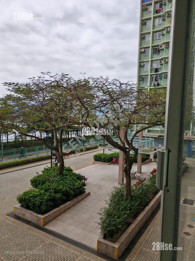 锦丰苑 售盘 3 房 , 1 浴室 647 平方尺 ( 60.1 平方米 ) 锦丰苑 售盘 3 房 , 1 浴室 647 平方尺 ( 60.1 平方米 )