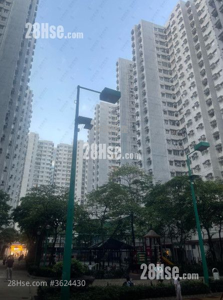 富荣花园 租盘 2 房 , 1 浴室 484 平方尺 ( 45.0 平方米 ) 富荣花园 租盘 2 房 , 1 浴室 484 平方尺 ( 45.0 平方米 )