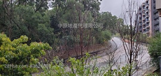 天钻 售盘 1 房 377 平方尺 ( 35.0 平方米 )