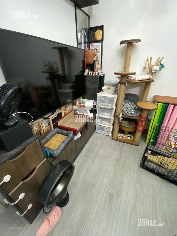 启朗苑 售盘 开放式间隔 , 1 浴室 288 平方尺 ( 26.8 平方米 )