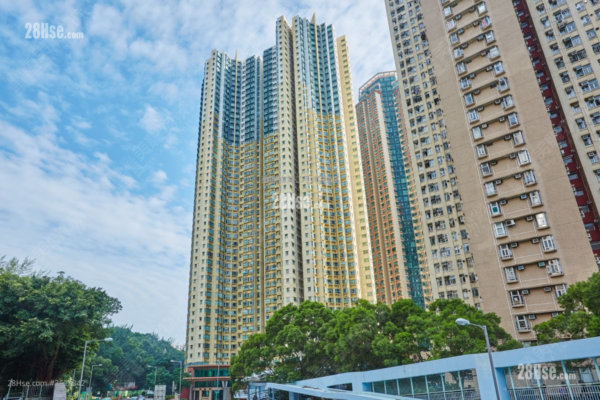 悦庭轩 售盘 2 房 , 1 浴室 454 平方尺 ( 42.2 平方米 ) 悦庭轩 售盘 2 房 , 1 浴室 454 平方尺 ( 42.2 平方米 )