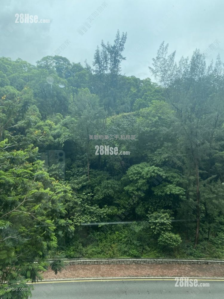 悦庭轩 售盘 2 房 , 1 浴室 454 平方尺 ( 42.2 平方米 ) 悦庭轩 售盘 2 房 , 1 浴室 454 平方尺 ( 42.2 平方米 )