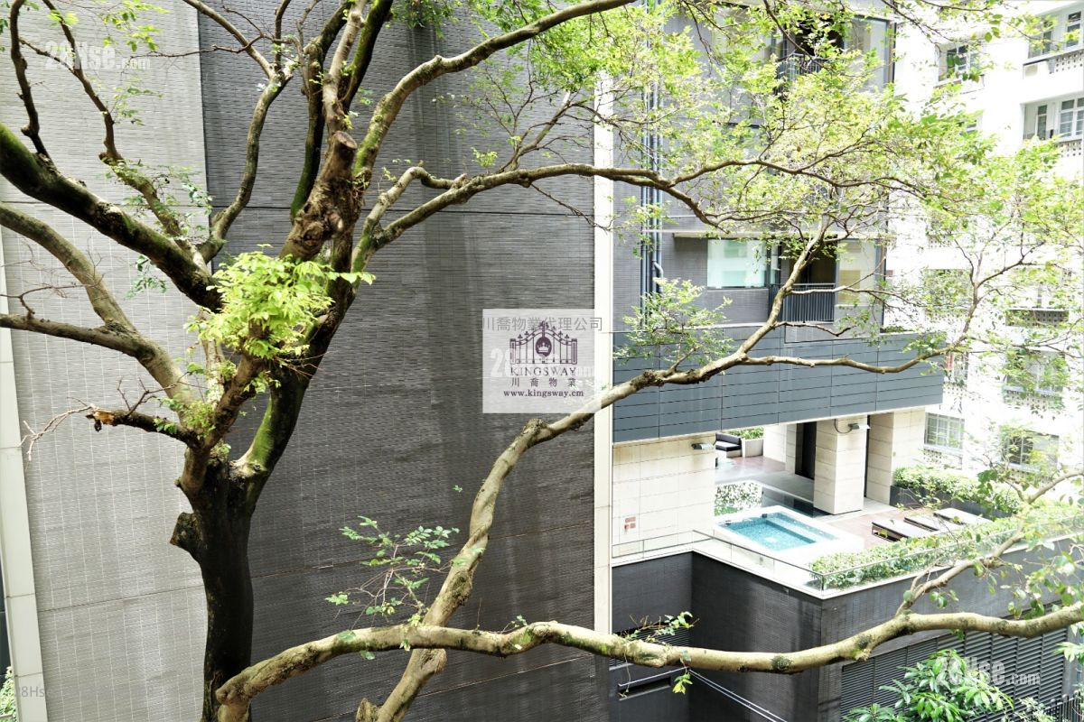 新发大厦 售盘 2 房 , 1 浴室 514 平方尺 ( 47.8 平方米 )