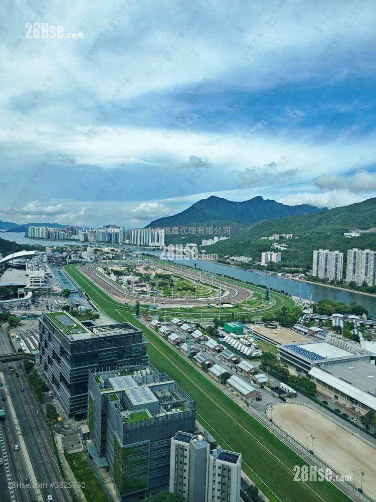 御龙山 售盘 4 房 1,426 平方尺 ( 132.5 平方米 )