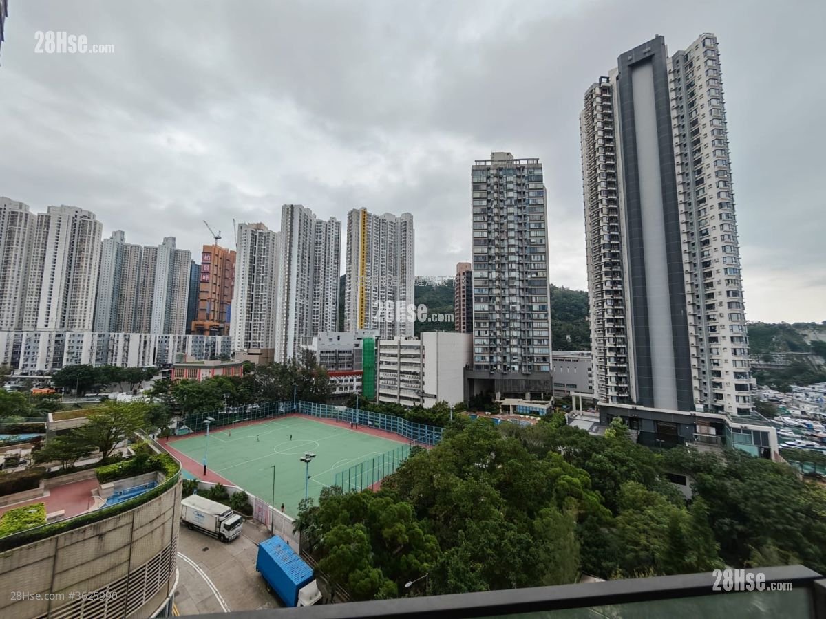 曦台 租盘 495 平方尺 ( 46.0 平方米 )