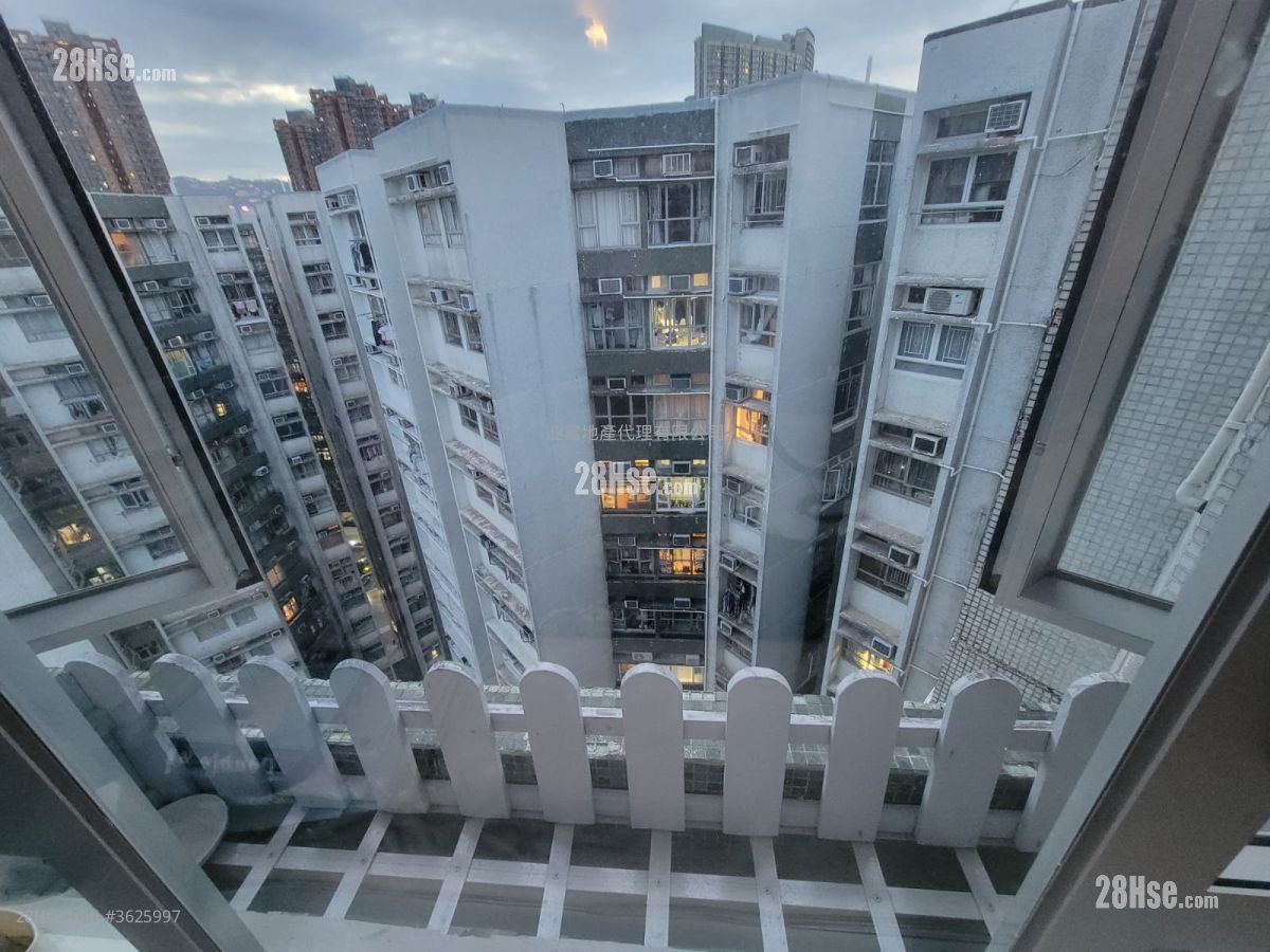 黄埔花园 售盘 2 房 , 1 浴室 389 平方尺 ( 36.1 平方米 ) 黄埔花园 售盘 2 房 , 1 浴室 389 平方尺 ( 36.1 平方米 )