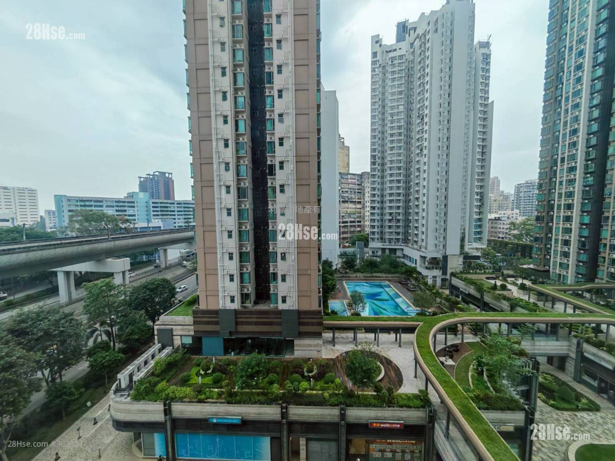 Yuccie Square Rental 429 ft² ( 39.9 m² )