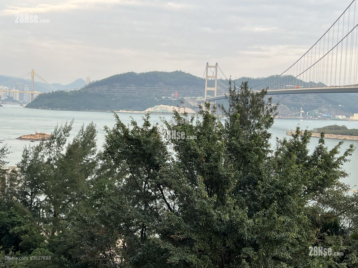 珀丽湾 租盘 2 房 , 1 浴室 520 平方尺 ( 48.3 平方米 )