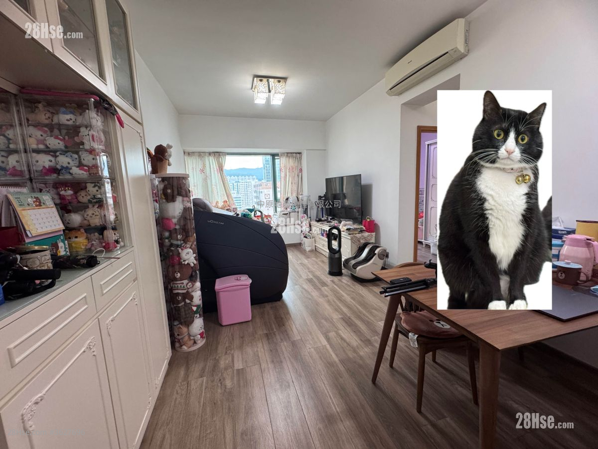 名逸居 售盘 2 房 , 1 浴室 603 平方尺 ( 56.0 平方米 )