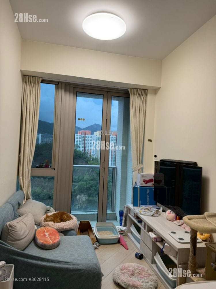 一号九龙道 租盘 1 房 , 1 浴室 301 平方尺 ( 28.0 平方米 )