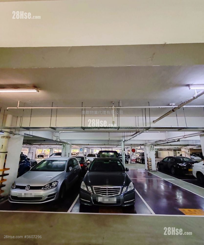 Tung Chung Crescent Rental