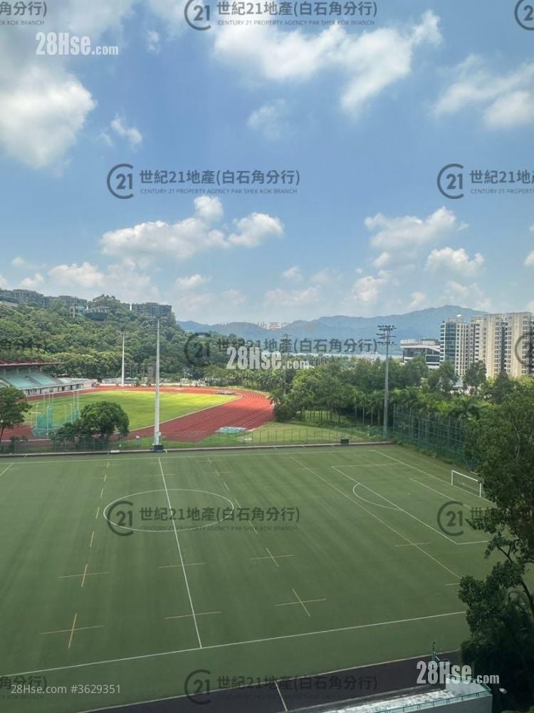 Silicon Hill Sell Studio , 1 Bathroom 218 ft² ( 20.3 m² )