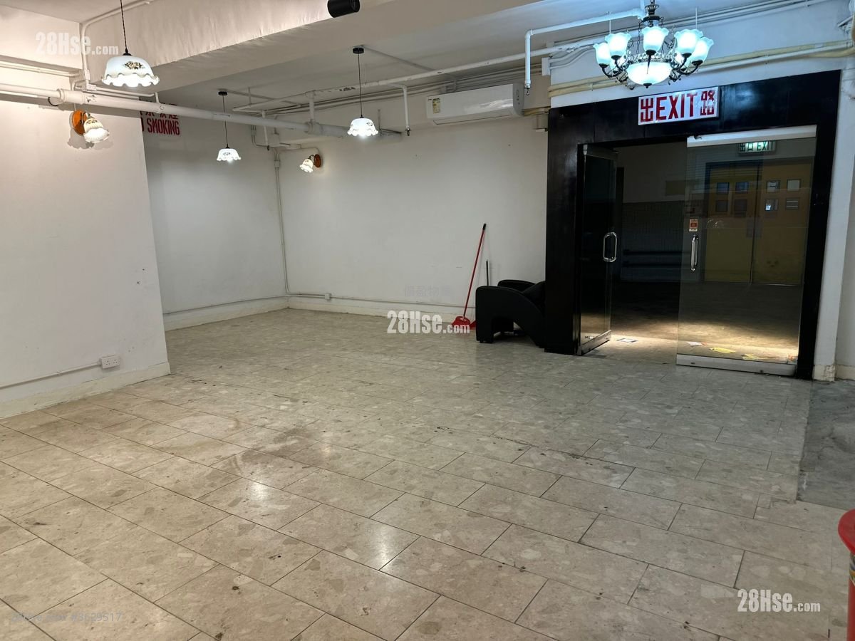 Camel Paint Building Sell