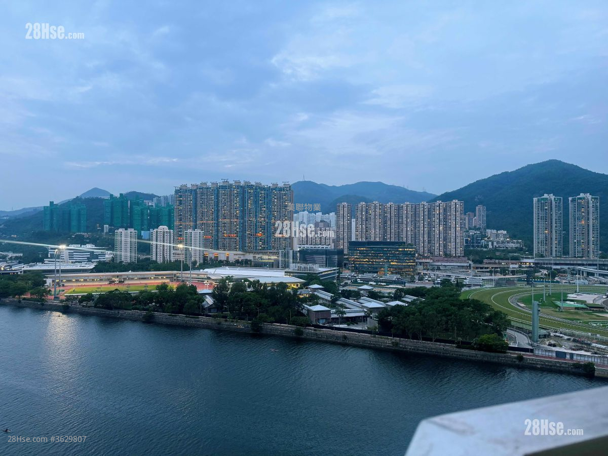 Pictorial Garden Sell 3 Bedrooms , 2 Bathrooms 849 ft² ( 78.9 m² )