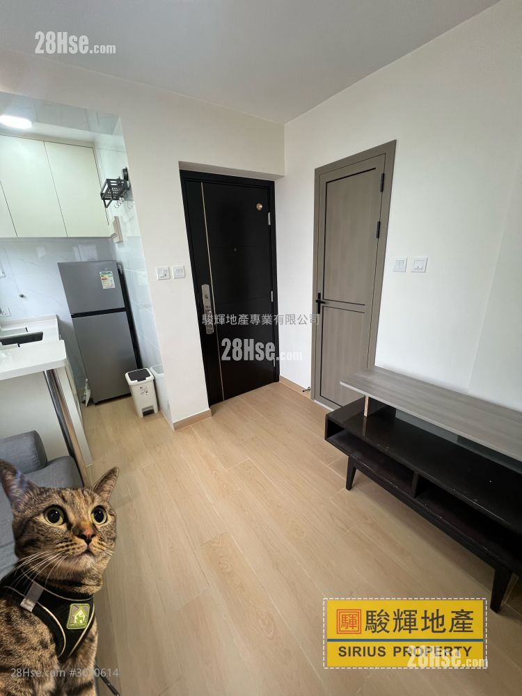 永富大厦 租盘 2 房 , 1 浴室 224 平方尺 ( 20.8 平方米 )