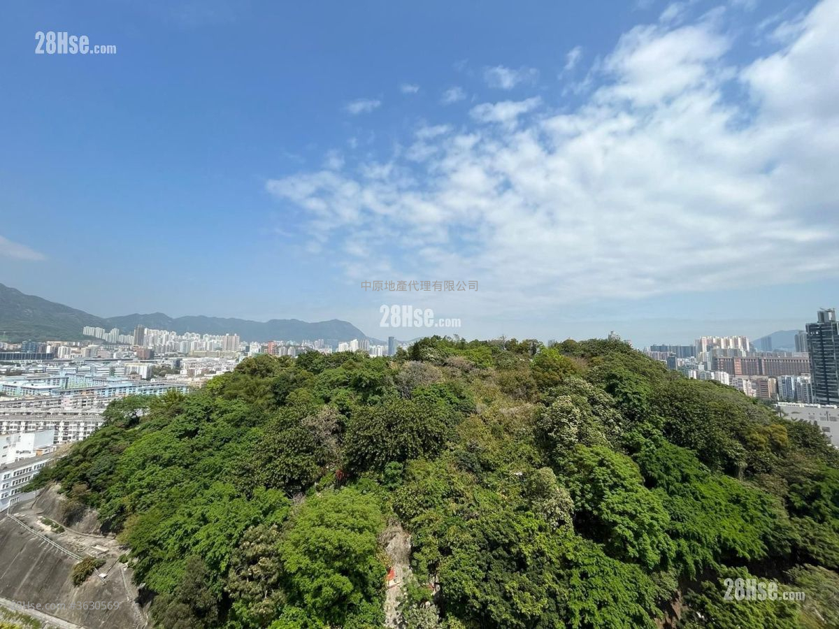 景怡峰 售盘 1 房 270 平方尺 ( 25.1 平方米 )