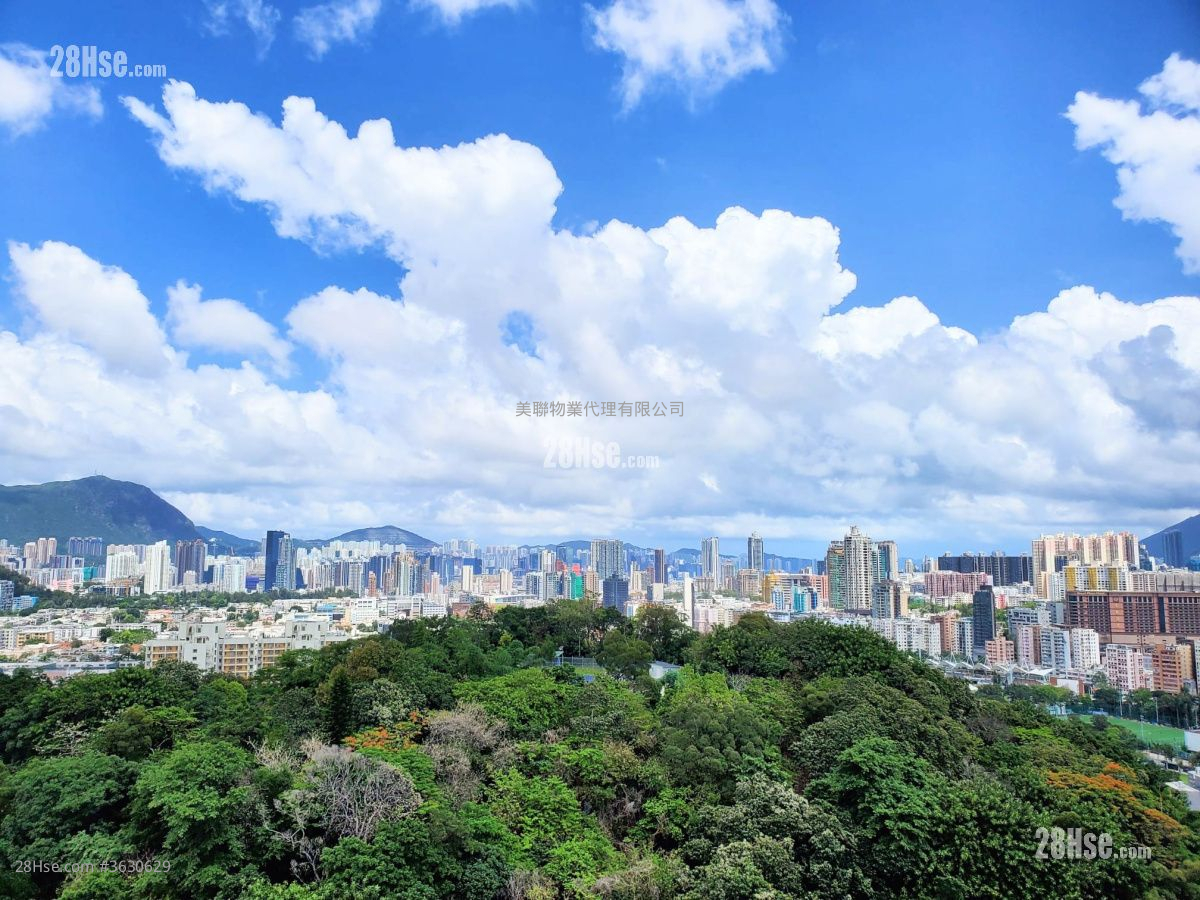 景怡峰 售盘 1 房 , 1 浴室 269 平方尺 ( 25.0 平方米 )