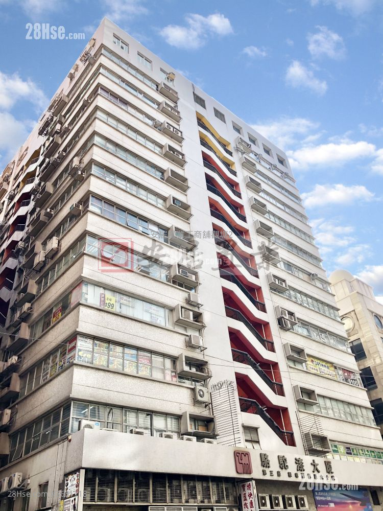 Camel Paint Building Sell