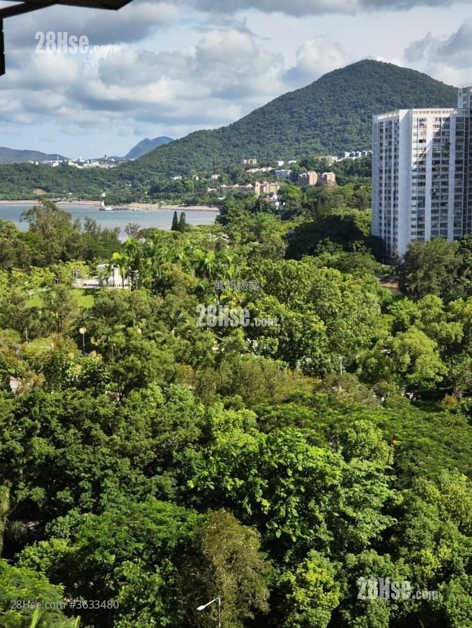 明雅苑 售盘 1 房 , 1 浴室 338 平方尺 ( 31.4 平方米 )