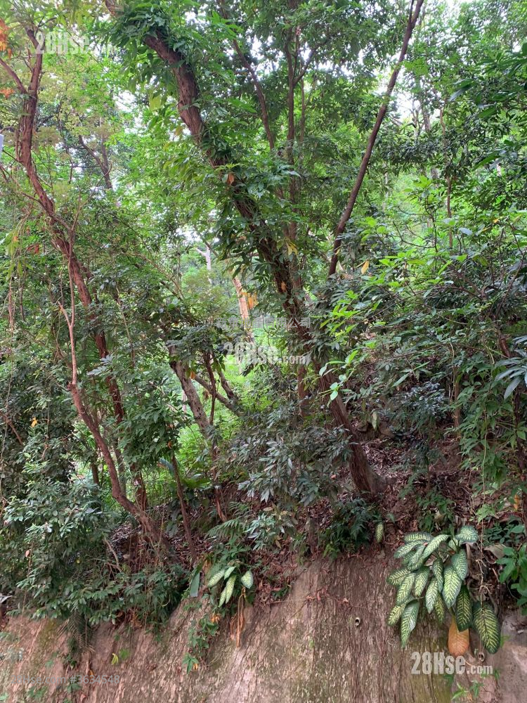 Tai Sing House Sell 2 Bedrooms , 1 Bathroom 312 ft² ( 29.0 m² )