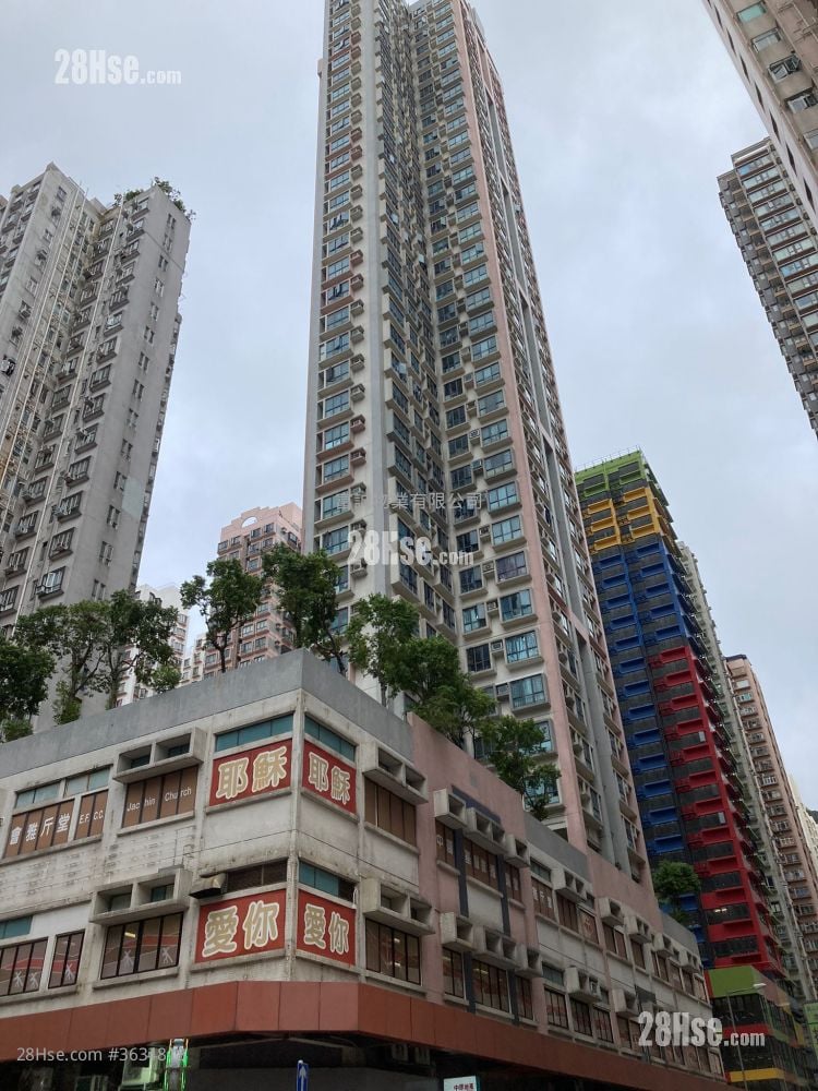 Florence Plaza Rental 1 Bedroom , 1 Bathroom 339 ft² ( 31.5 m² )