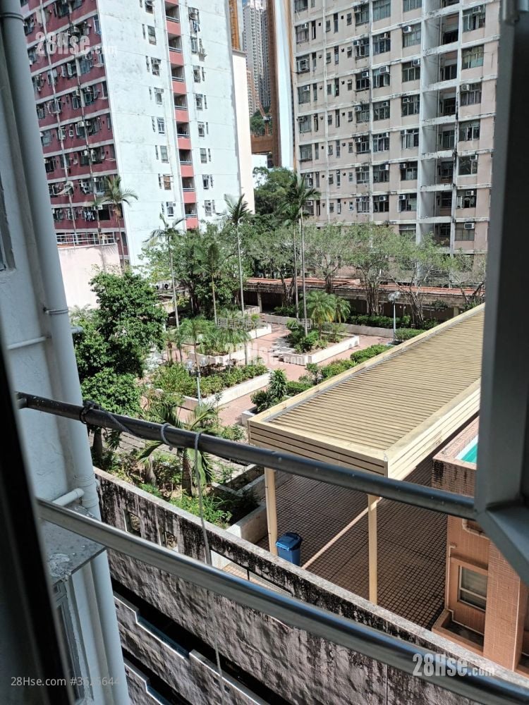 集景楼 租盘 2 房 , 1 浴室 350 平方尺 ( 32.5 平方米 )