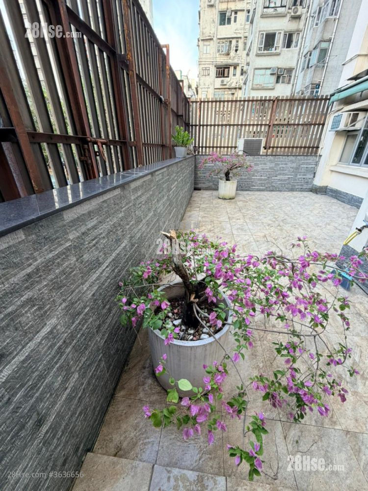 伟业大厦 租盘 3 房 , 1 浴室 419 平方尺 ( 38.9 平方米 )