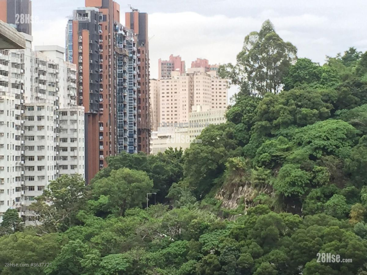 金龙大厦 售盘 3 房 , 2 浴室 1,143 平方尺 ( 106.2 平方米 )