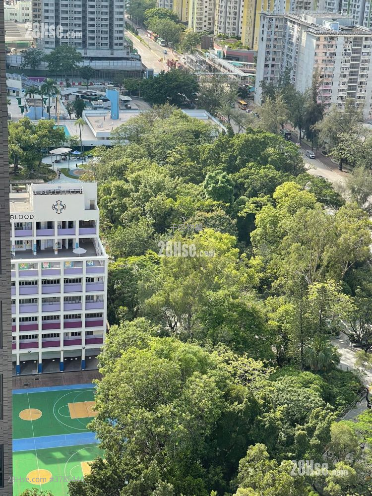 Bondlane Rental 2 Bedrooms , 1 Bathroom 390 ft² ( 36.2 m² )