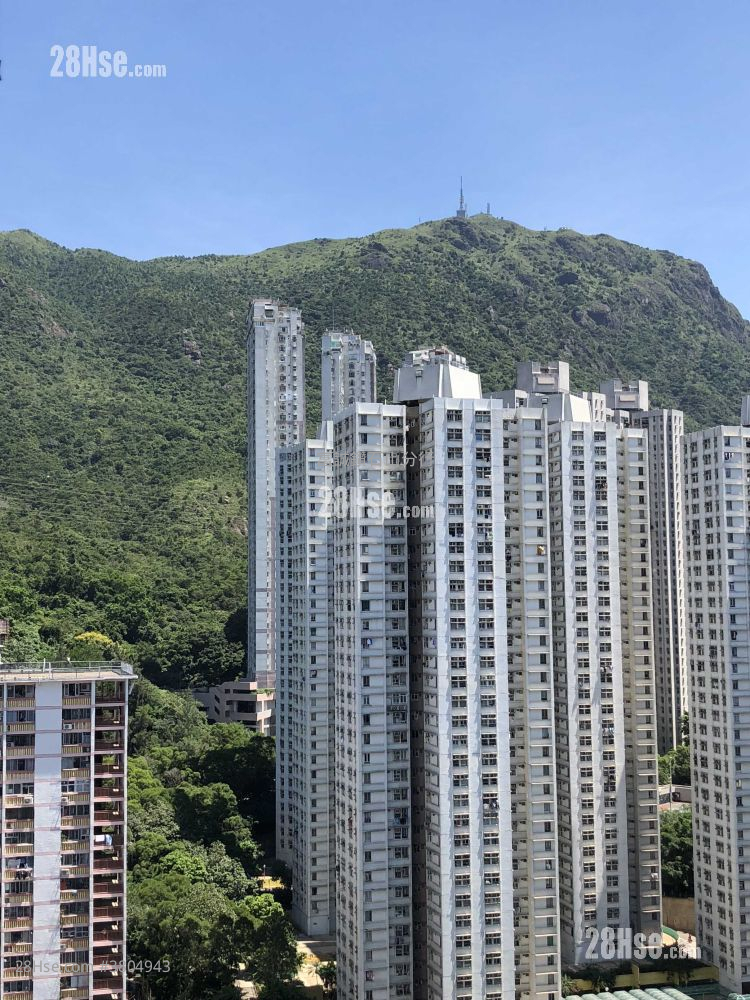 宏景花园 售盘 3 房 , 1 浴室 572 平方尺 ( 53.1 平方米 )