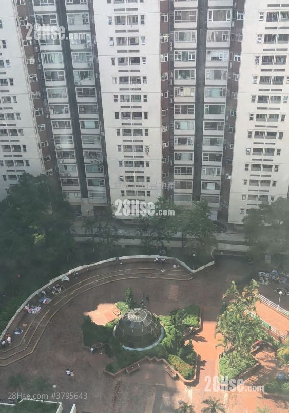 New Wealth Mansion Sell 2 Bedrooms , 1 Bathroom 351 ft² ( 32.6 m² )
