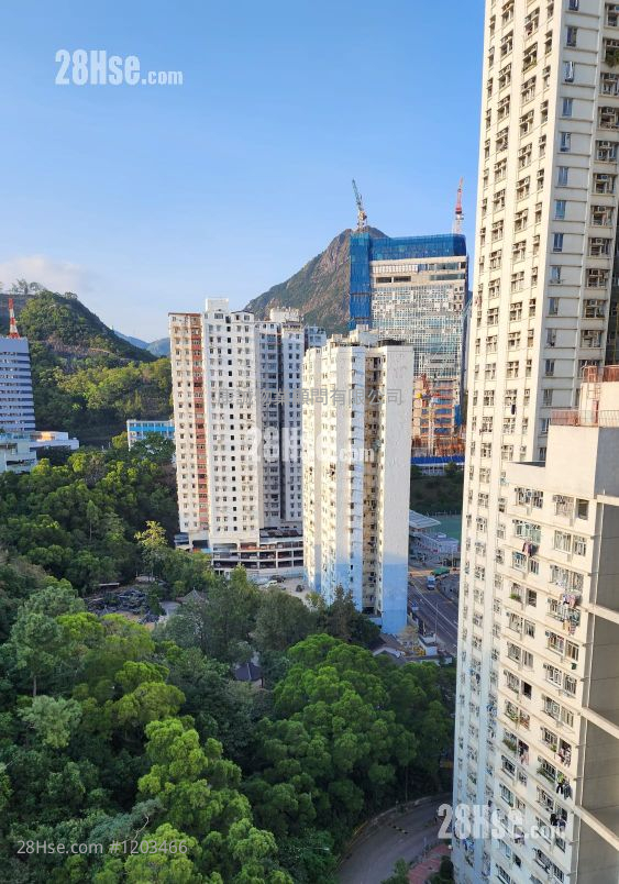 Cheung Wo Court Sell 3 Bedrooms , 1 Bathroom 568 ft² ( 52.8 m² )