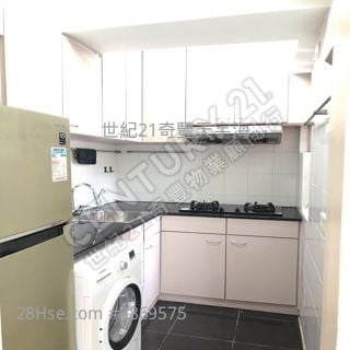 厨房: 新港城 租盘 2 房 , 1 浴室 490 平方尺 ( 45.5 平方米 )