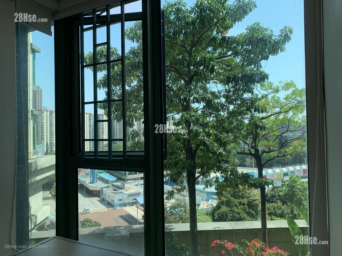 master room: Nob Hill Rental 2 Bedrooms , 1 Bathroom 455 ft² ( 42.3 m² )