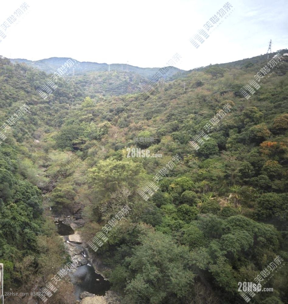 荃湾中心 售盘 1 房 377 平方尺 ( 35.0 平方米 )