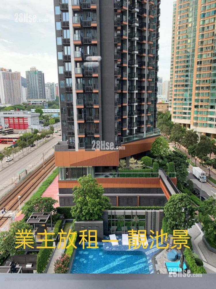景观: 露台景观