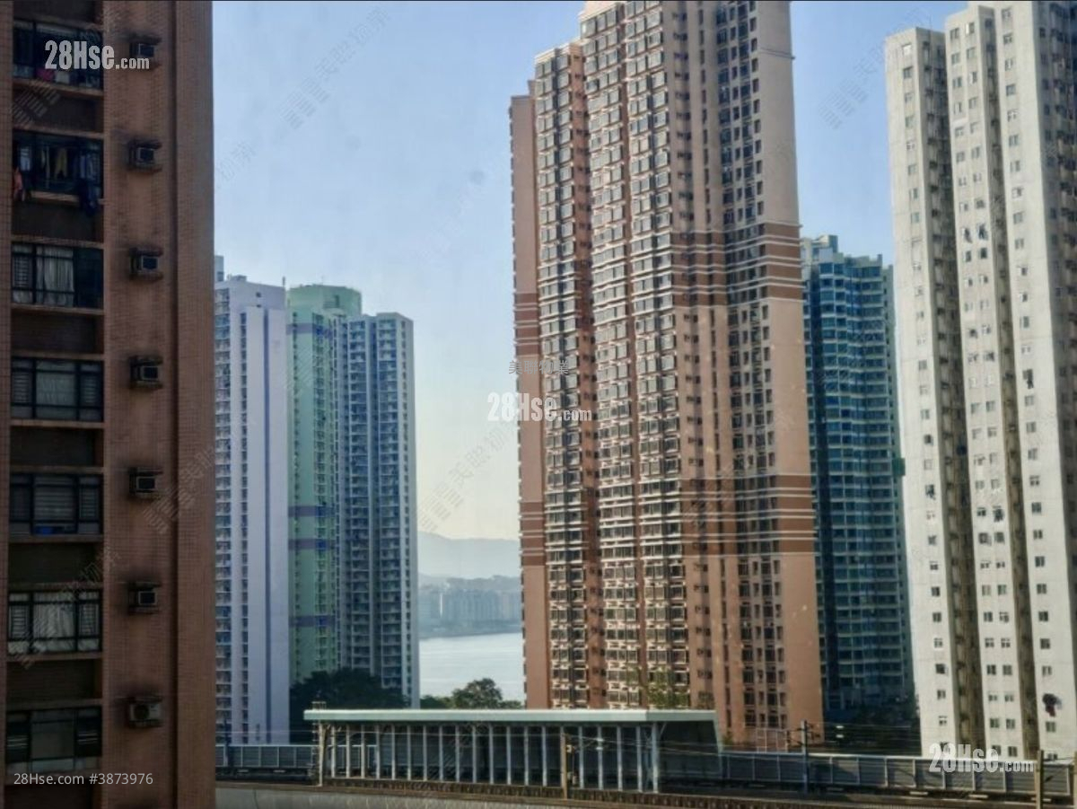新港城 租盘 3 房 , 1 浴室 519 平方尺 ( 48.2 平方米 )