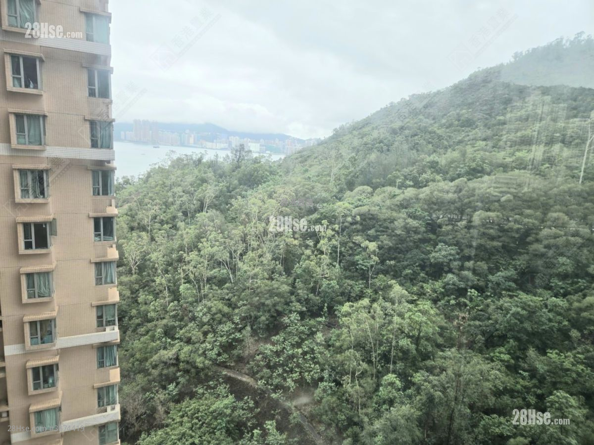 维景湾畔 租盘 2 房 , 1 浴室 511 平方尺 ( 47.5 平方米 )