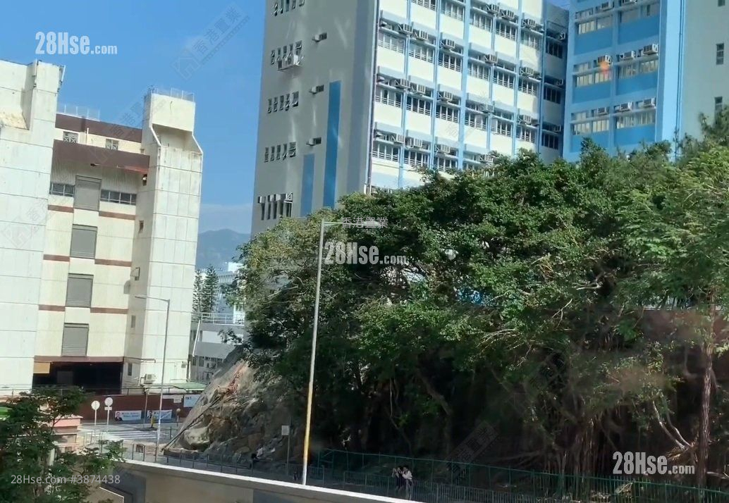 Mantin Heights Sell 3 Bedrooms 907 ft² ( 84.3 m² )